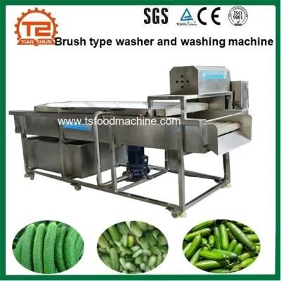 Brush Type Continuous Cucumber Washer and Washing Machine for Sale