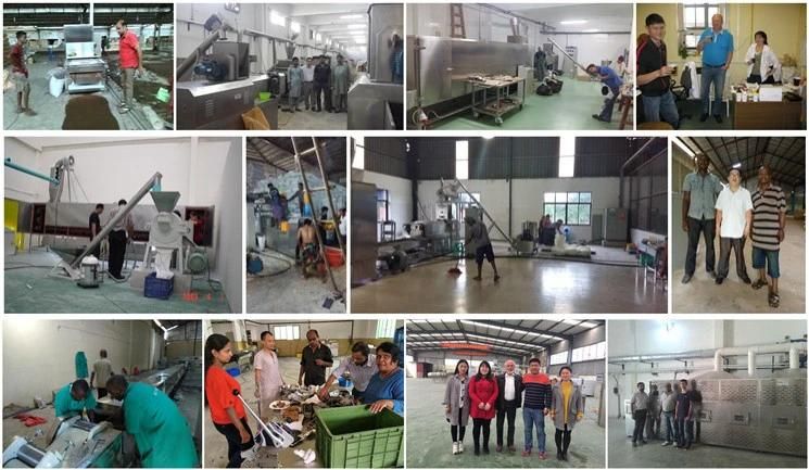 Big Capacity New Condition Dry Pet Food Processing Line