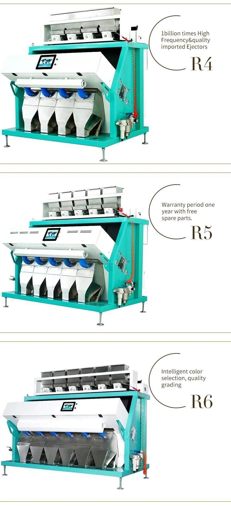 CCD A3 Rice Processing Color Sorter Machinery for Food