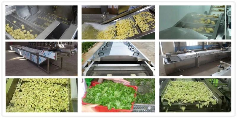 Horseradish Root Blanching and Cooking Machine IQF Food Processing Line