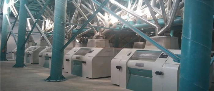 High Quality 100tpd Wheat Flour Grinding Machinery