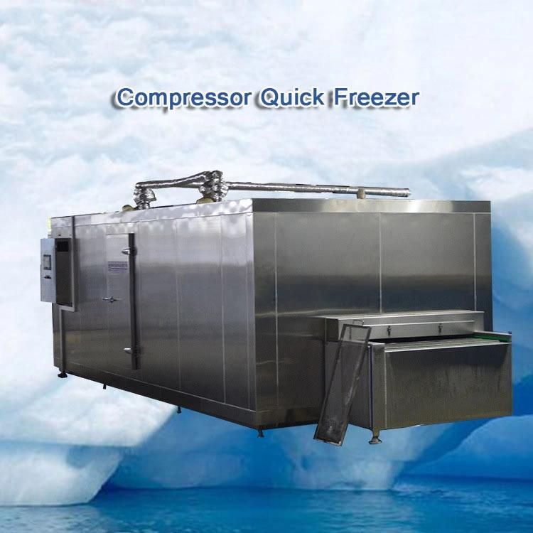 Individual Quick Freezing Machine IQF/Meat Quick Freezing Machine