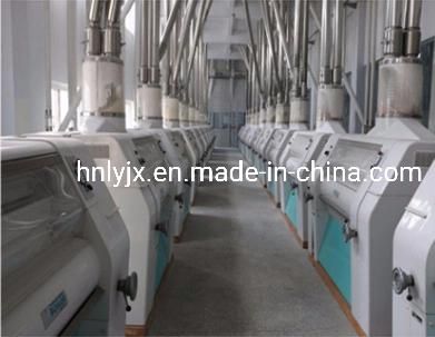 High Precision Wheat Core Flour Processing Line