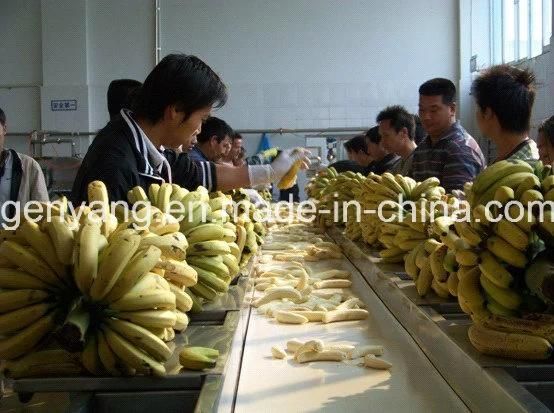 Complete Plantain Flour Processing Machines