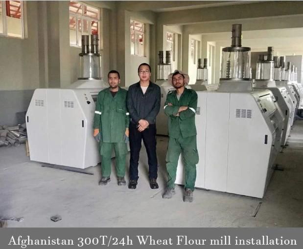300t Automatic Wheat Flour Mill Equipment in Afghanistan