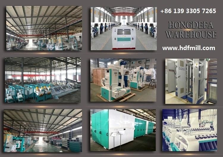 Hongdefa Complete Automatic 100t/24h Corn Grinding Machine Running in Nigeria