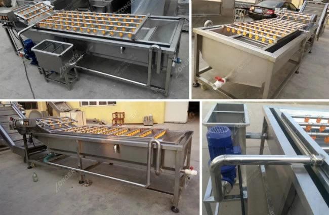 Factory Price Fruit Washing Machine for Sale