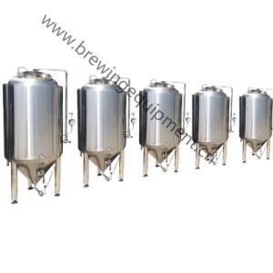 55 Gallon Stainless Steel Conical Beer Fermenter