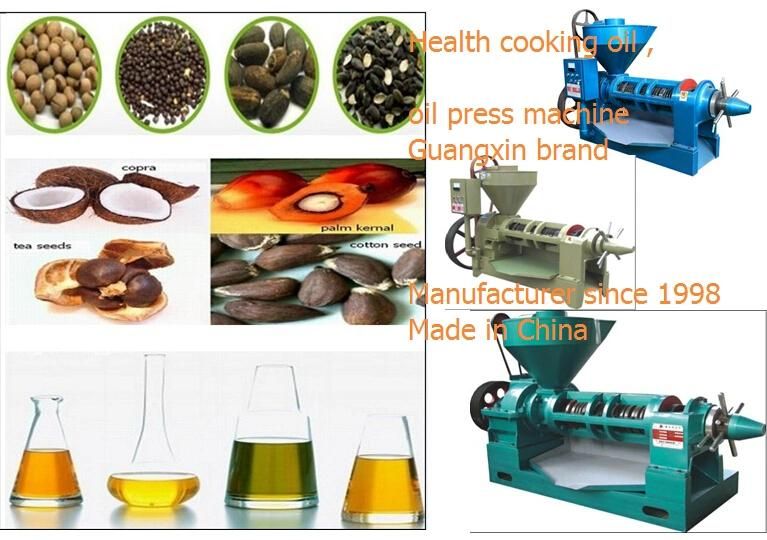 800kg Capacity Yzyx168 Palm Oil Producing Machine