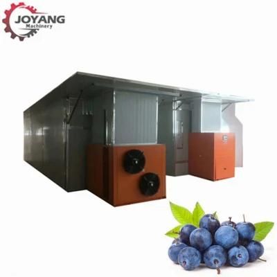CE Certification Blueberry Hot Air Pump Drying Machine