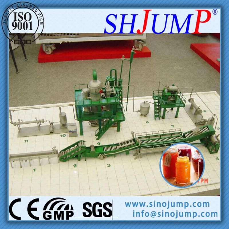 High Quality Apricot Pulp Processing Production Line