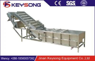 DBS Potato Chips Automatic Continuous Frying Machine