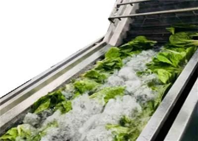 Multi Function Fresh Vegetable Fruit Air Bubble Washing Machine