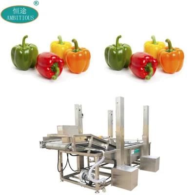 Bubble Washer Green Vegetables Cleaning Machine Vegetable Washing Sink