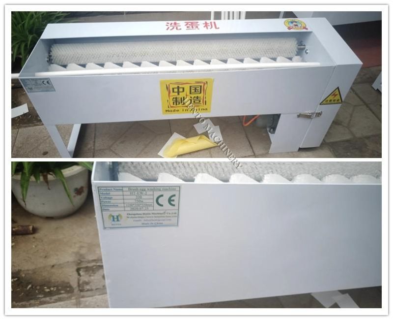 Hento Hot Sale Egg Cleaning Machine Egg Washer Machine For Sale