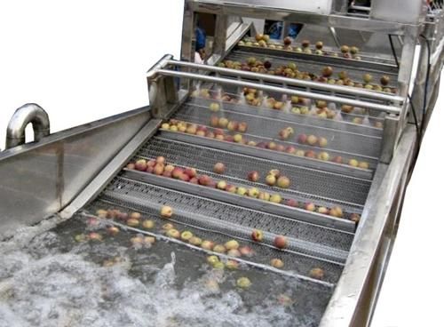 Food Machinery Leafy Vegetable Washing Cleaning Drying Equipment