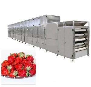 Gwm-56b Continuous Dryer Tunnel Microwave Sterilizing &amp; Drying Machine