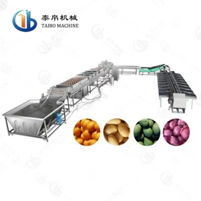 Potato Cassava Carrot Washing Waxing Grading Line for Factory