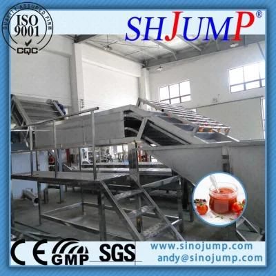 Tropical Fruit Sorting Machine/ Food Machine for Fruit Puree