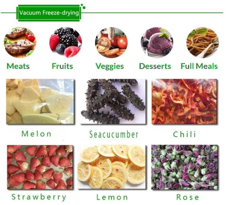 Vacuum Freeze Dryer Fruit and Vegetabls Food Freeze Dryer