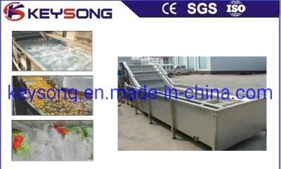 Vegetables Bubble Washing Machinery with Brush Rollers