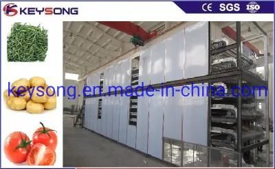 Vegetable Processing Machinery Vegetables Dryer