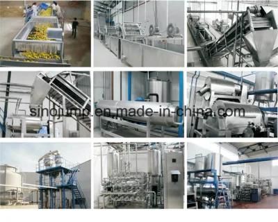 Typical Mango Pulp Puree Production Machines From Washing Till Packing