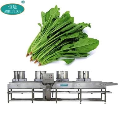 Continuous Belt Washed Vegetable Dryer Cold Air Dehydrating Machine