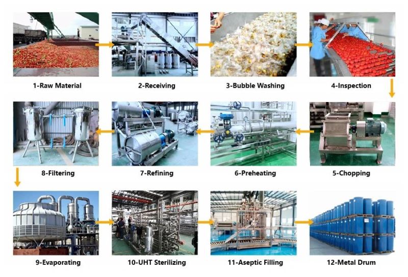 Industrial Pineapple Juice Making Machine