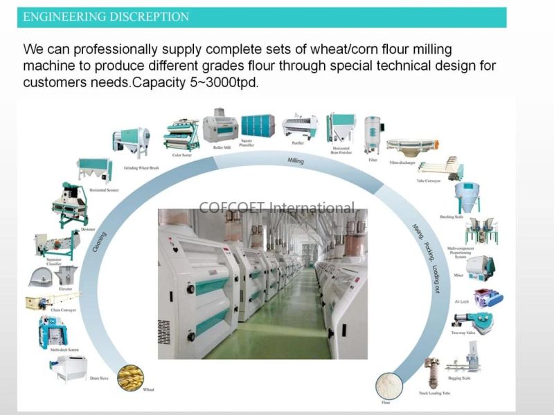 Global 500 Cofcoet Wheat Maize Rice Flour Complete Production Line