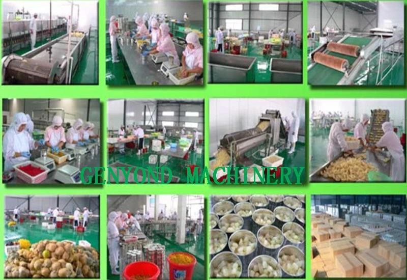 High Efficiency Cucumber Pickles Production Line