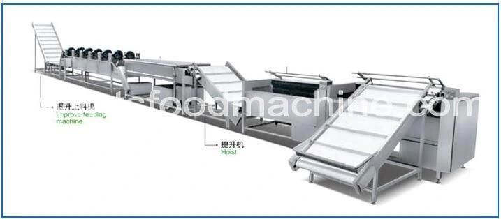 Brush Washing and Peeling Machine Special for Fruit and Vegetables Washer with Ce