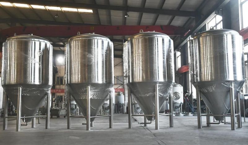High Quality SUS304 500L Beer Fermenter Tank for Brewing Equipment