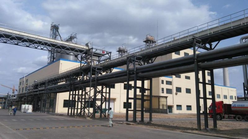 Soy Protein Isolate Machine Soybean Protein Isolate Plant with High Quality