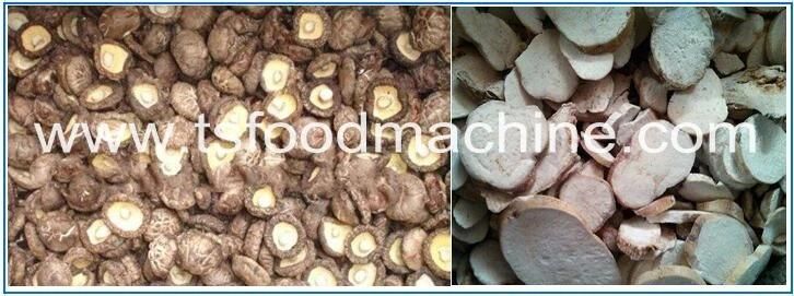 Hot Air Belt Continuouse Mushroom Drying Machine and Dehydrator Oven Machine
