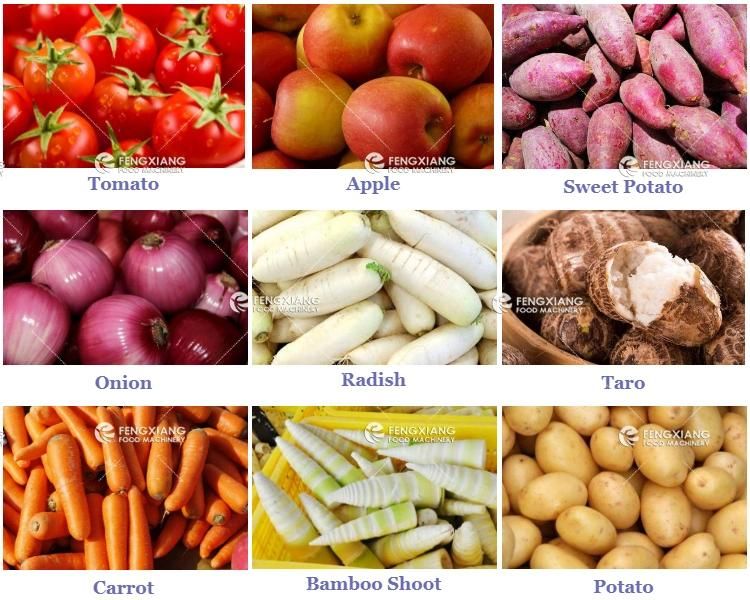Vegetable Fruit Cucumber Tomato Pineapple Potato Onion Spliting Wedges Cutter