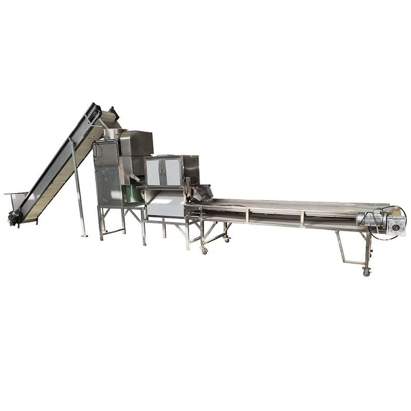 Hot Selling Continuous Garlic Peeling Machine