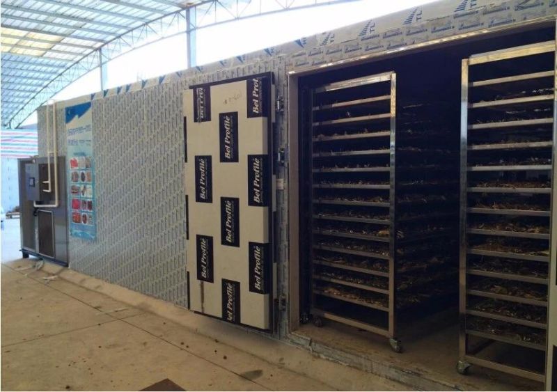 New Style Circulating Heating Fruit Dryer Machine