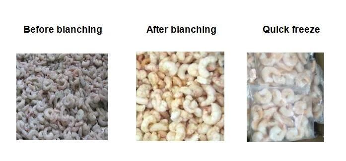 Vannamei Shrimp Blanching Machine Seafood Blanching Machine