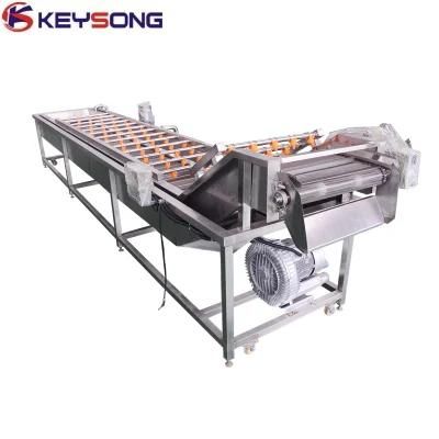 Popular 1000-1200kg/H Fruit and Vegetable Processing Equipment Washer