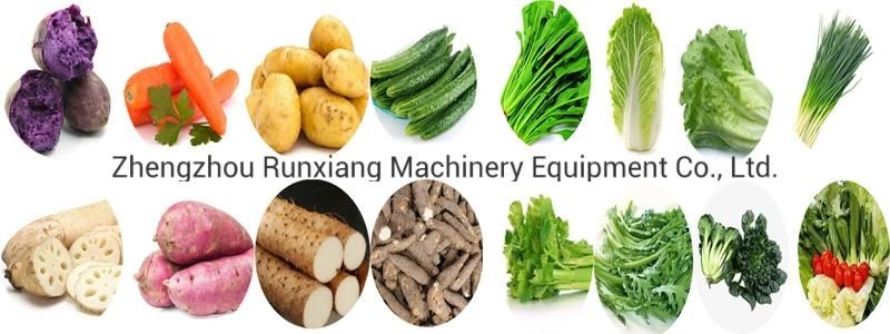 Vegetable Potato Carrot Washing Peeling Sorter Packing Processing Machine (WS)