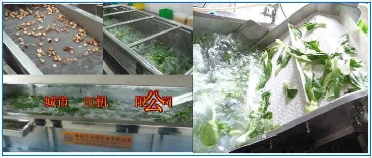 Strawberry Cleaner Automatic Strawberry Washing Machine