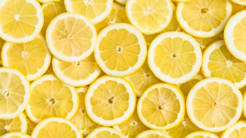 Air Dryer Electric Dewatering Machines Lemon Fruit Dehydrator Drying Machine