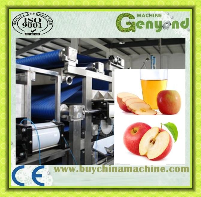 Fruit Juice Production Machine/Equipment