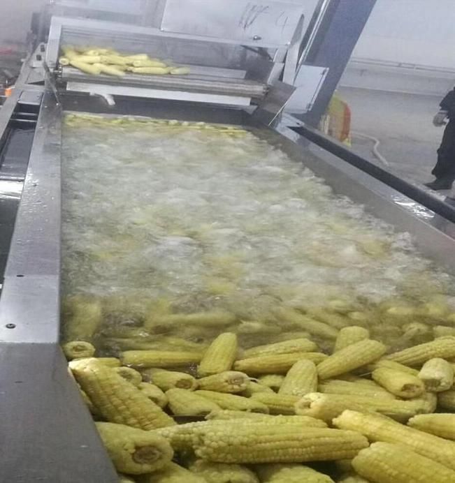 Small Blanching Machine Sweet Corn Blancher