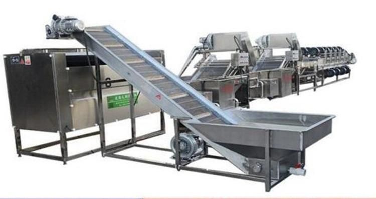 Stainless Steel Apple/Pear/Mango/Fruit/Vegetable Washing Processing Machine