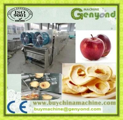 Complete Apple Chips Production Machines