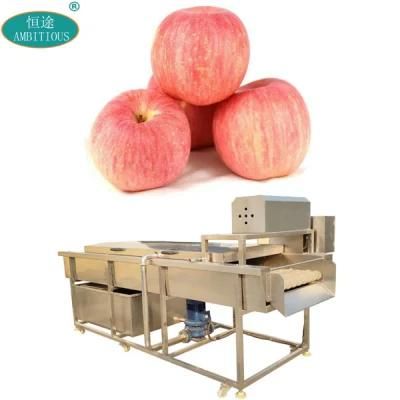 Fruit Washing Machinery Apple Brush Washing Machine