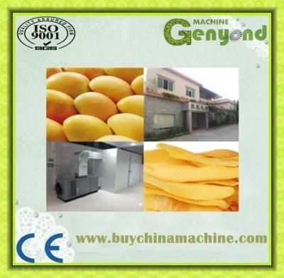 Shanghai Dried Sliced Mango Production Plant