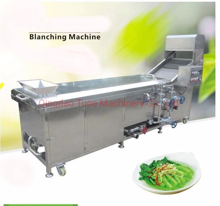 Potato French Fries Blanching Cooking Machine / Vegetable Blanching Machine